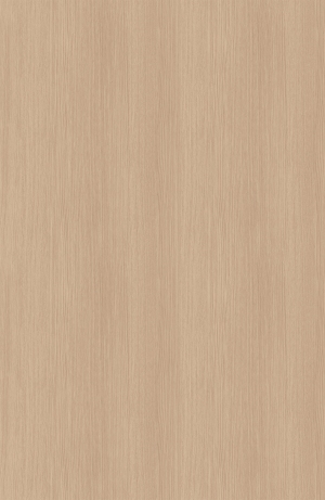 ModernWood Texture