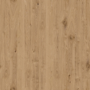 ModernWood Texture