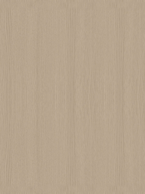 ModernWood Texture