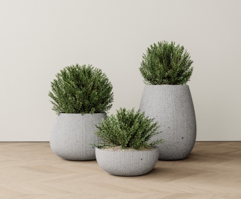 Modern Potted Green Plant-ID:648700007