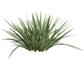 Modern The Grass-ID:227531917