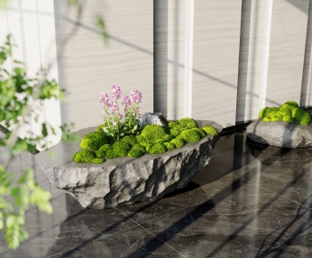 Modern Plant Landscaping-ID:209300045