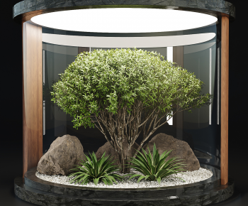 Modern Plant Landscaping-ID:382991085