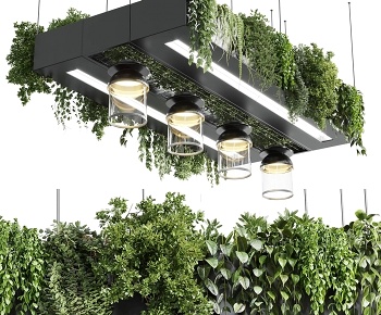 现代植物装饰吊灯3D模型