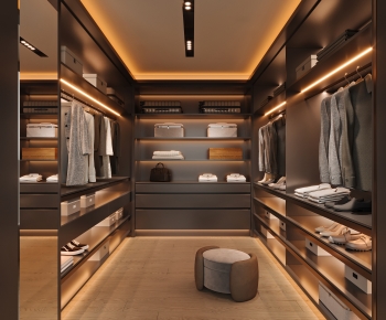 Modern Clothes Storage Area-ID:336815129