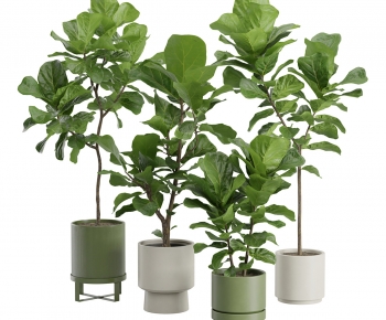 Modern Ground Green Plant Potted Plants-ID:145690484