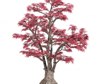 Modern Tree-ID:739413986