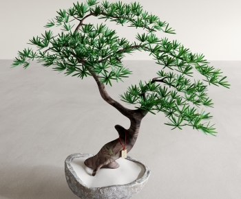 Modern Bonsai-ID:440347911