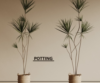 Modern Ground Green Plant Potted Plants-ID:144140737