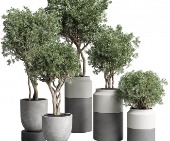 Modern Ground Green Plant Potted Plants-ID:262629032