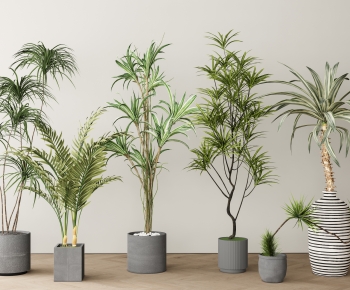 Modern Ground Green Plant Potted Plants-ID:499485976