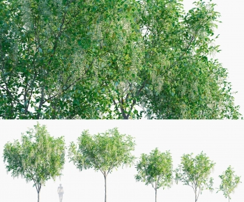 Modern Tree-ID:521109104