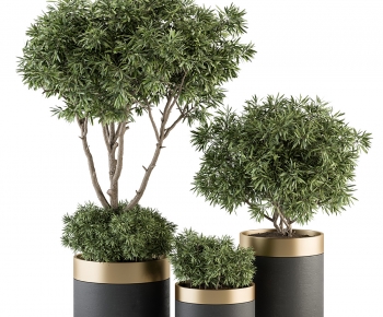 Modern Ground Green Plant Potted Plants-ID:168979249