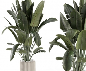 Modern Ground Green Plant Potted Plants-ID:952548983