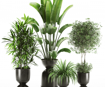 Modern Ground Green Plant Potted Plants-ID:115628005