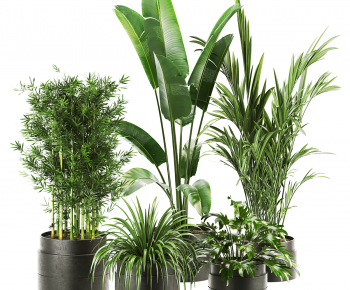 Modern Ground Green Plant Potted Plants-ID:191489933