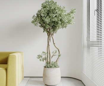 Modern Potted Green Plant-ID:815140967