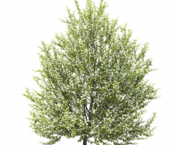 Modern Tree-ID:693799021