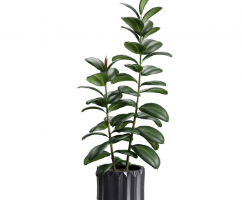 Modern Ground Green Plant Potted Plants-ID:619935044