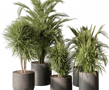 Modern Ground Green Plant Potted Plants-ID:555825005