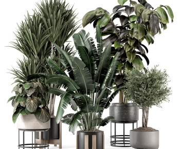 Modern Potted Green Plant-ID:368081091