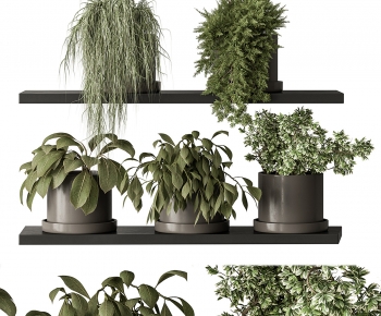 Modern Potted Green Plant-ID:413362039