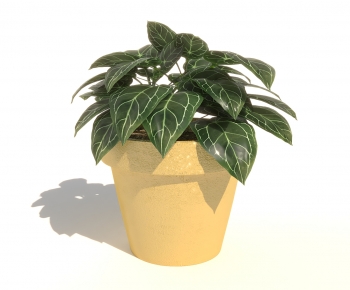 Modern Potted Green Plant-ID:900293115