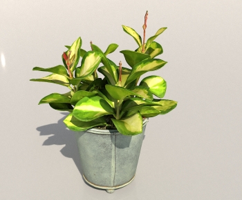 Modern Potted Green Plant-ID:298069005