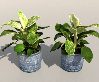 Modern Potted Green Plant-ID:988280061