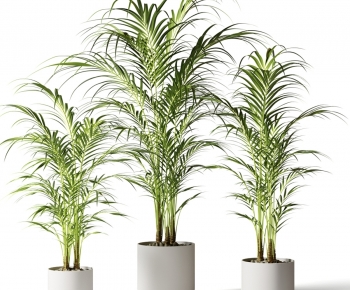 Modern Ground Green Plant Potted Plants-ID:970749963