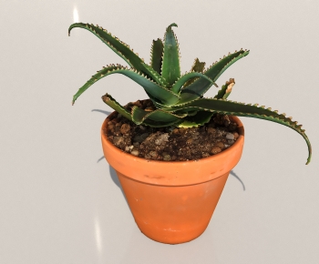 Modern Potted Green Plant-ID:189831027