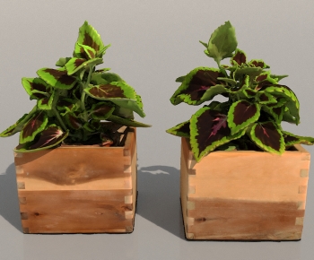 Modern Potted Green Plant-ID:340321196