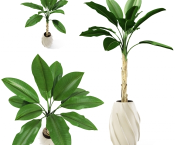 Modern Potted Green Plant-ID:398667101