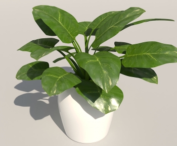 Modern Potted Green Plant-ID:234709984