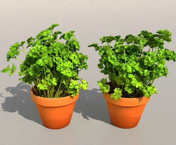 Modern Potted Green Plant-ID:368020583