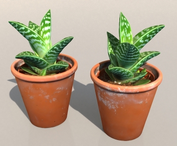 Modern Potted Green Plant-ID:716418984