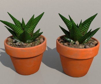 Modern Desktop Plant-ID:364350081