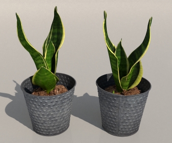 Modern Potted Green Plant-ID:422374014