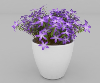 Modern Potted Green Plant-ID:115039335