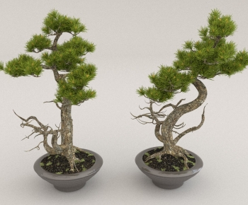 New Chinese Style Bonsai-ID:199090003