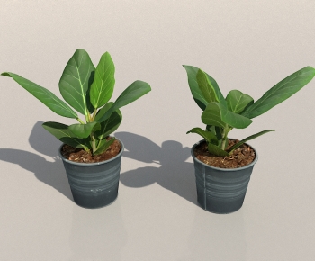 Modern Potted Green Plant-ID:237533094