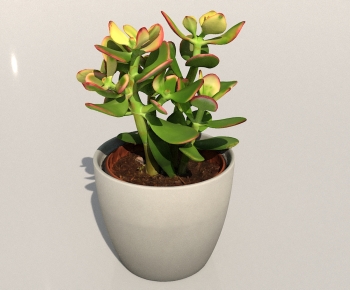 Modern Potted Green Plant-ID:457118038