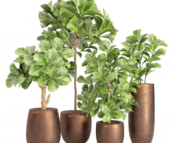 Modern Ground Green Plant Potted Plants-ID:740143065