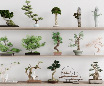 Modern Bonsai-ID:718657973