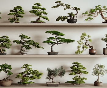 Modern Bonsai-ID:939820057