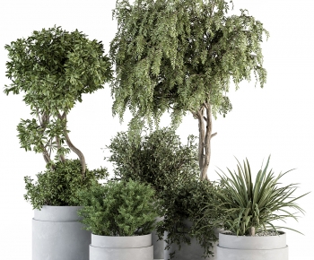 Modern Ground Green Plant Potted Plants-ID:213749891