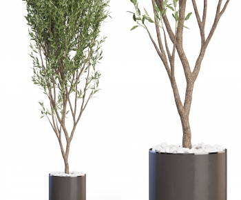 Modern Ground Green Plant Potted Plants-ID:565787089