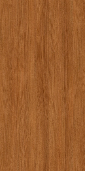 ModernWood Texture