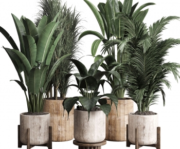 Modern Ground Green Plant Potted Plants-ID:259116895