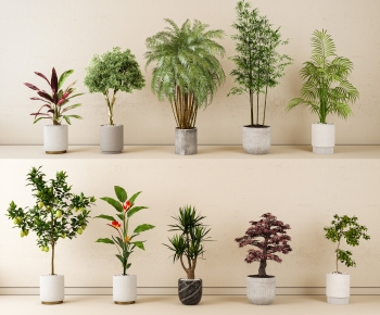 Modern Ground Green Plant Potted Plants-ID:761289649